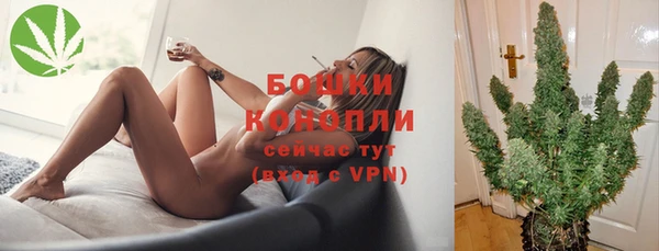 стафф Анива
