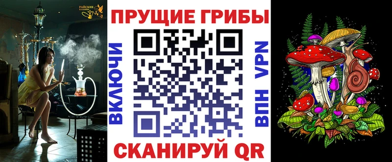 Галлюциногенные грибы Psilocybe хочу Лакинск